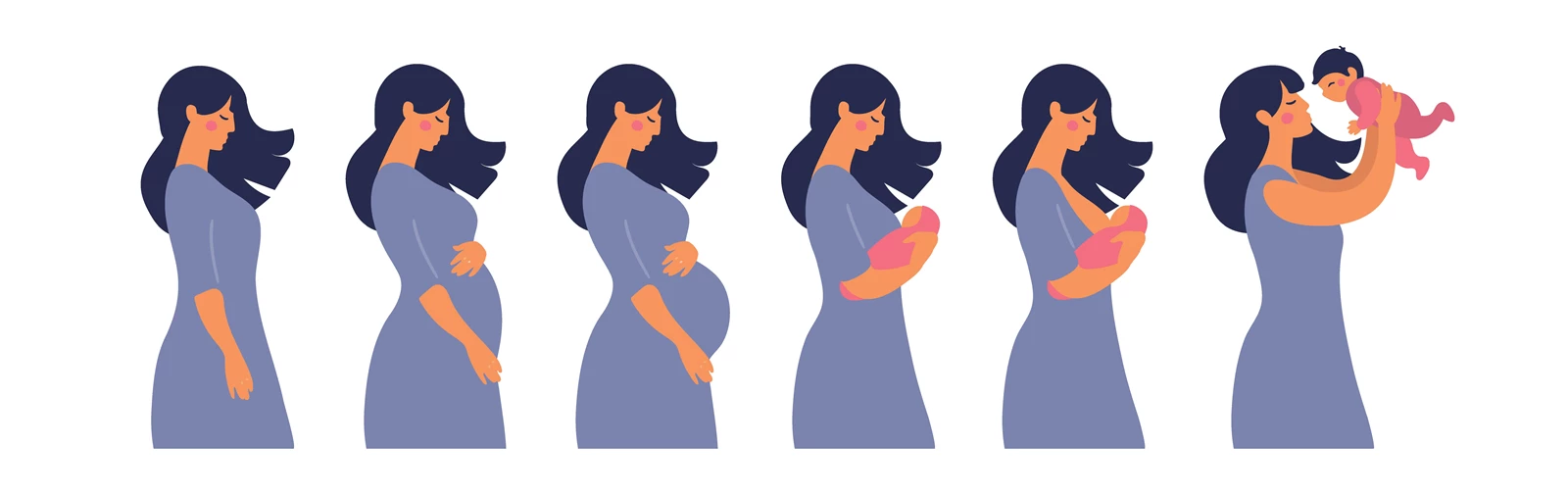 Quick Facts About Pregnancy