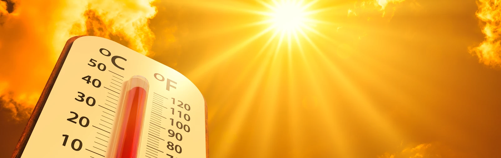 Plan Ahead for Extreme Heat
