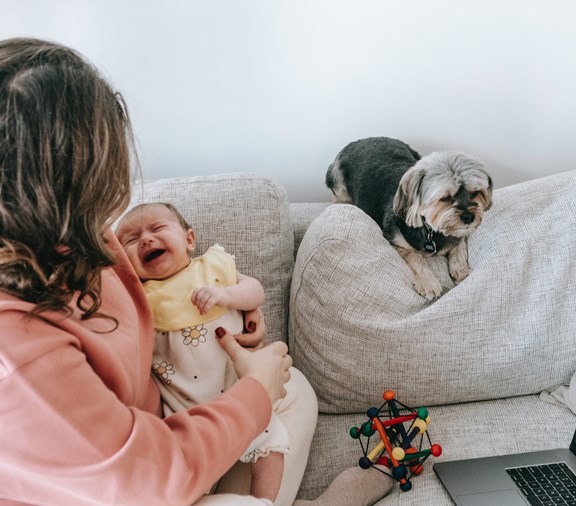 Mother trying to calm her crying baby with dog on couch 