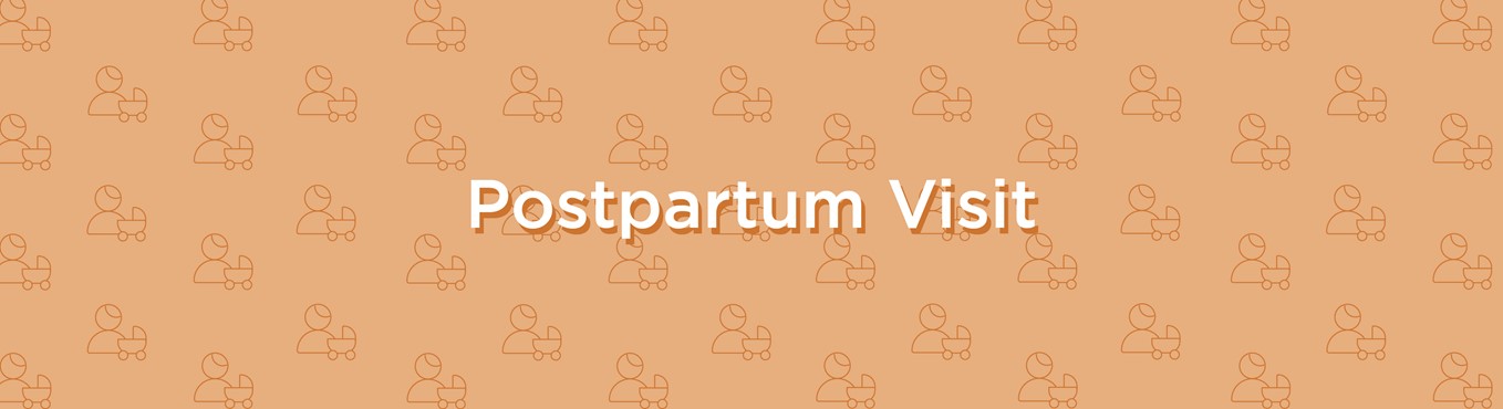 postpartum visit banner - orange
